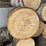 #3579-•-large-piles-of-mostly-dried-cut-firewood-image-3