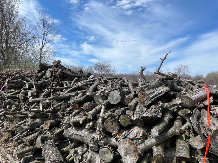 #5530-•-door-county-cherry-wood-image-4