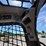 caterpillar-246d-image-9