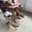 #3570-•-ariens-rototiller-image-4