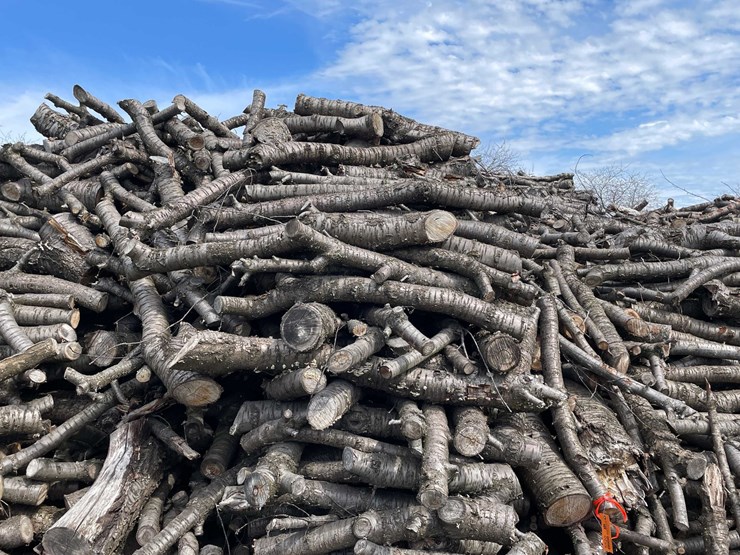 #5520-•-door-county-cherry-wood-image-2