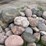 #6009-•-rock-pile-image-10