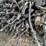#5514-•-door-county-cherry-wood-image-4