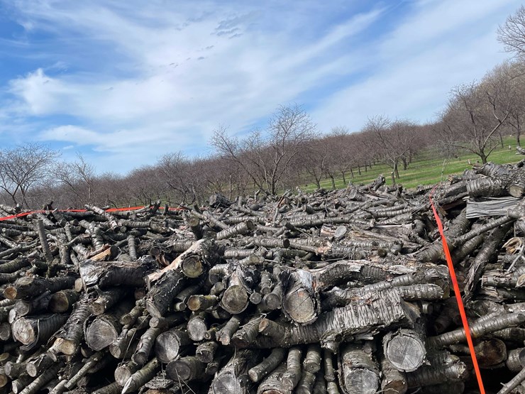 #5529-•-door-county-cherry-wood-image-6