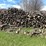 #5525-•-door-county-cherry-wood-image-6