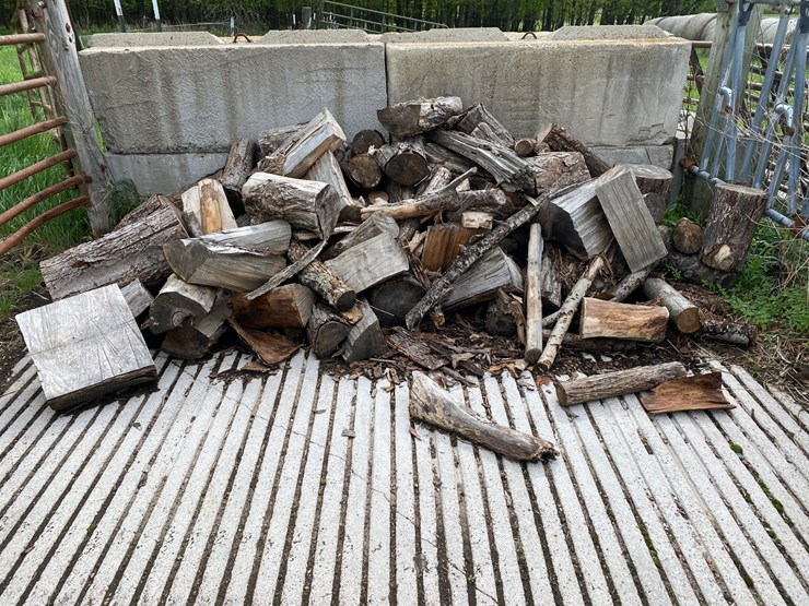 #3579-•-large-piles-of-mostly-dried-cut-firewood-image-9