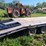 #165-•-1996-econoline-trailer-image-16