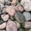 #6009-•-rock-pile-image-4