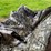 #3609-•-pile-of-outdoorsman-items-image-8