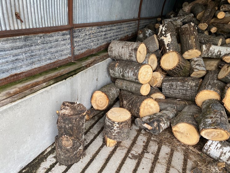 #3579-•-large-piles-of-mostly-dried-cut-firewood-image-2