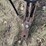 #5501-•-14'-disc-image-30