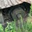 1999-barko-160e-image-64