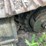 1999-barko-160e-image-66