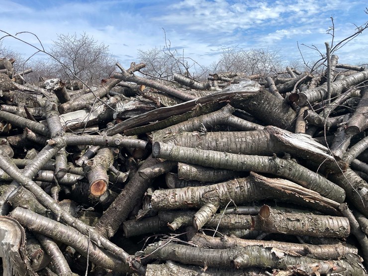 #5524-•-door-county-cherry-wood-image-2
