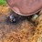 #3614-•-gas-fuel-tank-image-6