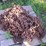 timberjack-240e-image-35