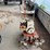 #3570-•-ariens-rototiller-image-2