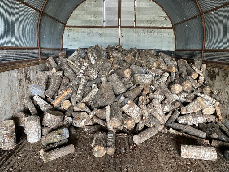 #3579-•-large-piles-of-mostly-dried-cut-firewood-image-7
