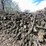 #5531-•-door-county-cherry-wood-image-6