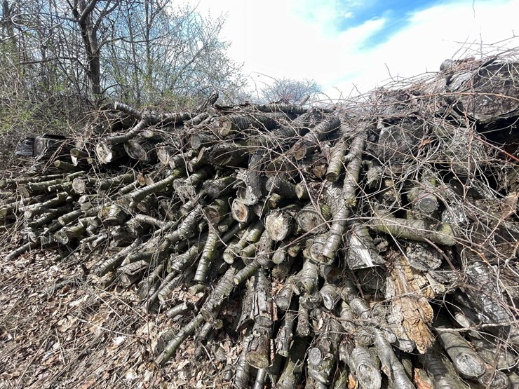 #5531-•-door-county-cherry-wood-image-6