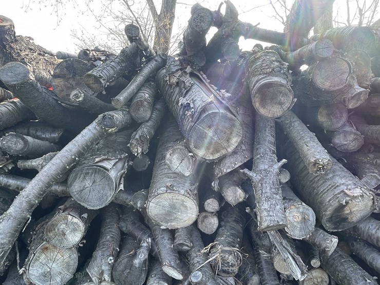 #5503-•-door-county-cherry-wood-image-3