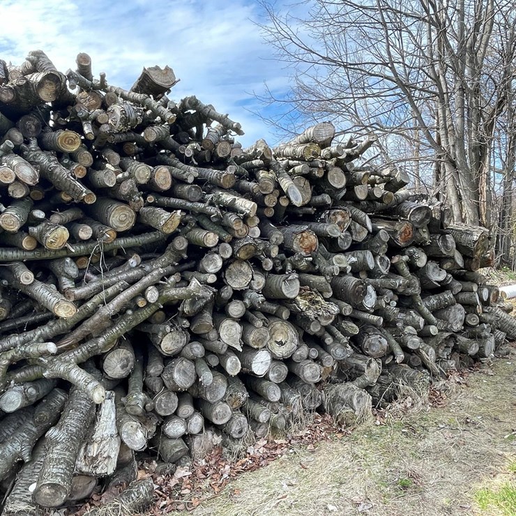 #5527 • Door County Cherry Wood