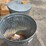 #4185-•-(2)-metal-trash-cans-with-lids-image-3