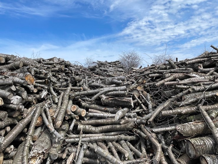 #5522-•-door-county-cherry-wood-image-1