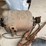 #3581-•-assorted-hardware,-electric-motor,-bolt-cutters-and-more-image-3