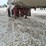 1986-trailmaster-tanker-image-10