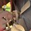 farmall-f-20-image-25