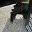 2002-gmc-6500-dump-truck-image-21
