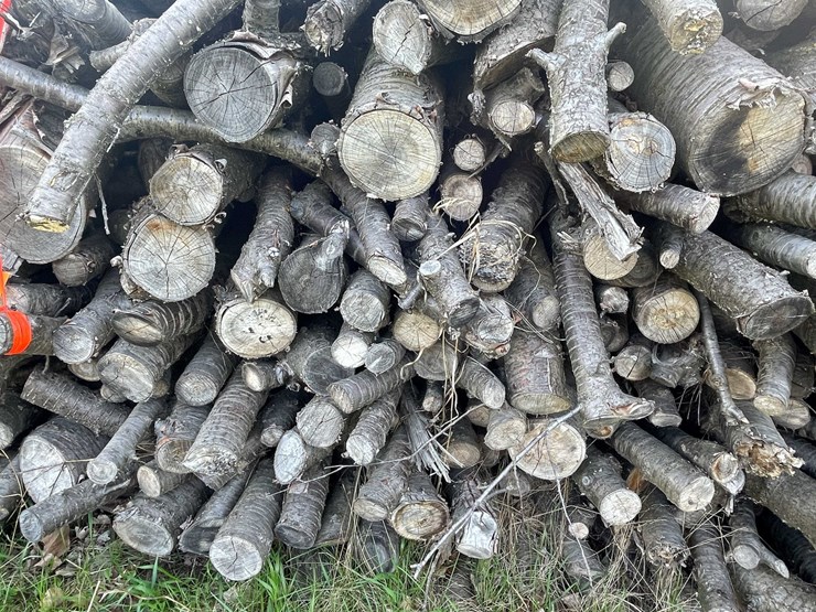 #5503-•-door-county-cherry-wood-image-2