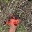 #3521-•-pto-driveshaft-image-3
