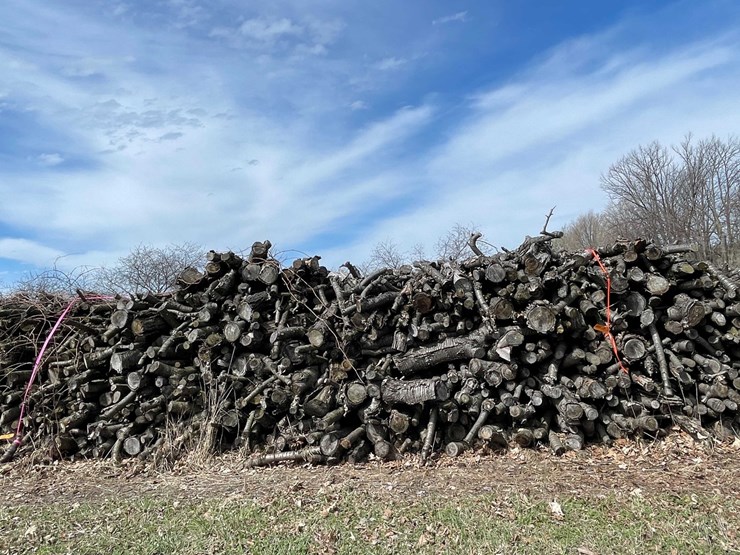 #5530-•-door-county-cherry-wood-image-7