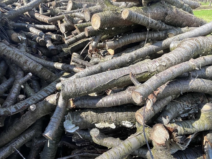 #5511-•-door-county-cherry-wood-image-7