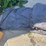 #6086-•-extension-cord-trouble-lights-and-tarp-image-7