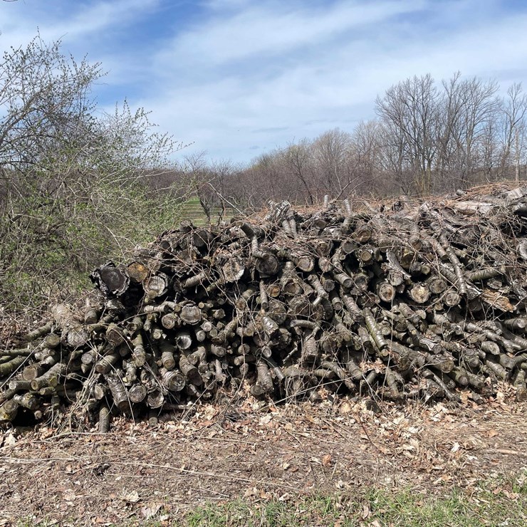 #5531 • Door County Cherry Wood