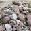 #6009-•-rock-pile-image-9