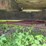 #3501-•-9'-x-16'-h&s-hay-wagon-image-13