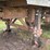1996-stoughton-trailer-image-16
