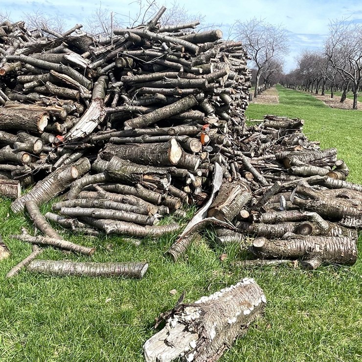 #5525 • Door County Cherry Wood