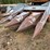 #3518-•-allis-chalmers-fl330-corn-head-image-1