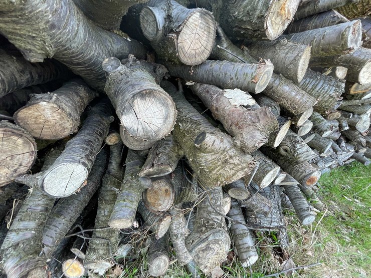 #5504-•-door-county-cherry-wood-image-6