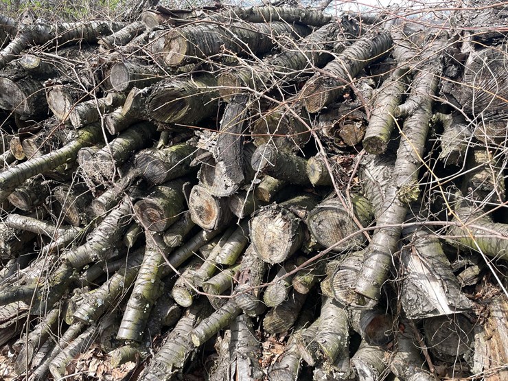 #5531-•-door-county-cherry-wood-image-5