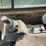 1999-barko-160e-image-15