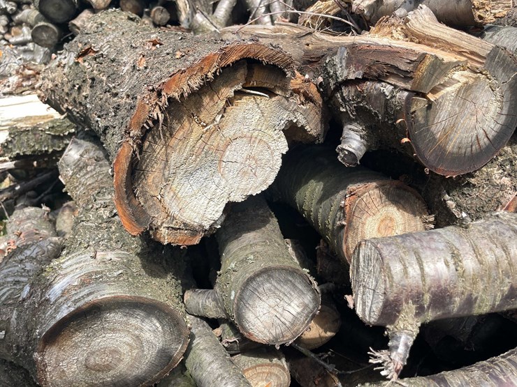#5524-•-door-county-cherry-wood-image-5