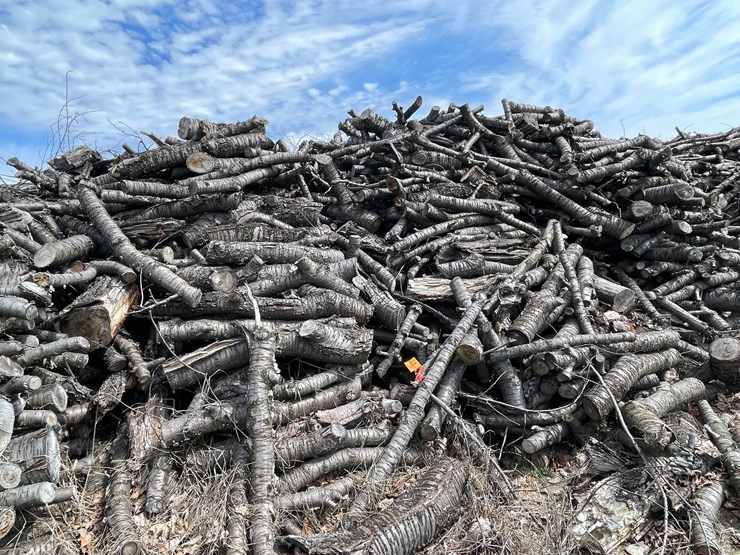 #5518-•-door-county-cherry-wood-image-2