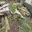 #6062-•-pile-of-various-wood-and-lumber-cutoffs-image-6