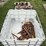 assortment-of-boomers-in-tote-image-1